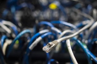 微软呼吁政府建立漏洞报告新规，安全透明化进程加速