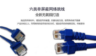 10米六类非屏蔽机制成品软跳线 纯国标网络连接解决方案